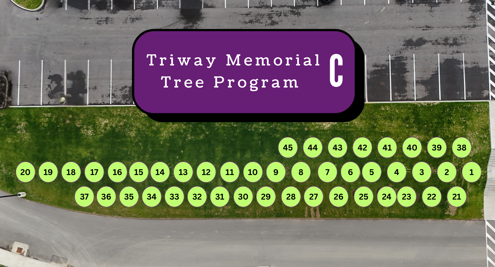 A purple sign reads "Triway Memorial Tree Program C" above a grassy area with multiple green tree icons.